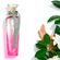 agua-fresca-gardenia-musk-adolfo-dominguez-eau-de-toilette-120ml-3